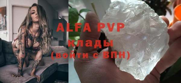 амф Бородино