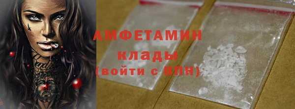 амф Бородино