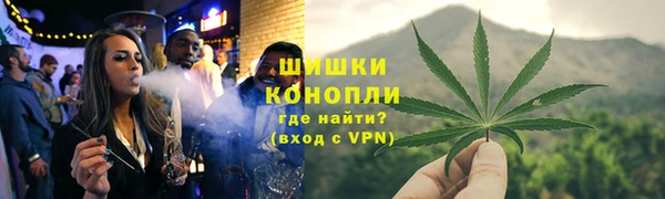гидропоника Богданович
