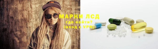 амф Бородино