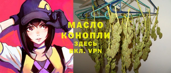 mix Богородицк