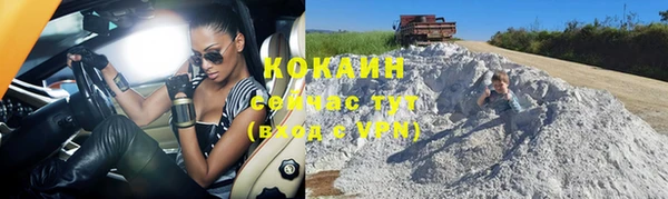 mix Богородицк